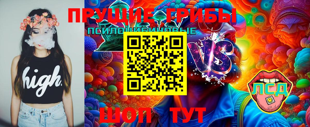 Псилоцибиновые грибы MAGIC MUSHROOMS Усолье-Сибирское